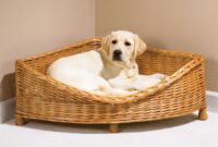 The Corner Pet Bed (Medium) - Hammacher Schlemmer